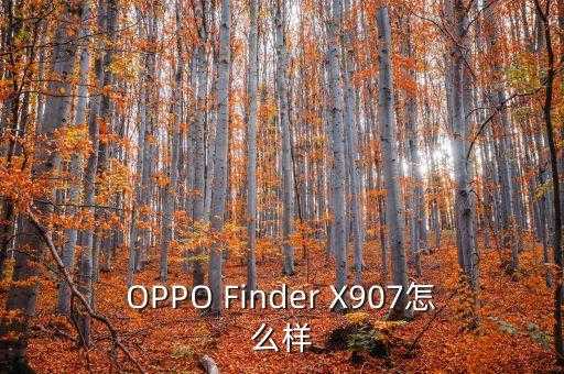 oppo finder x907，OPPO Finder X907怎么样