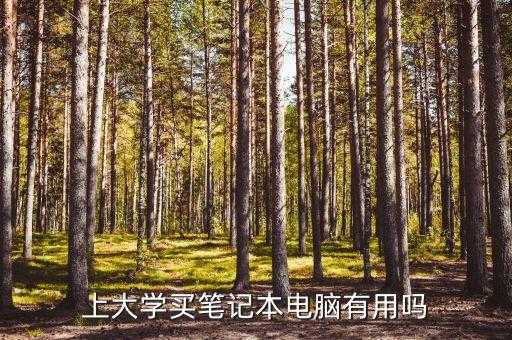 上大学买电脑有用吗，大学带电脑有无用 第3张