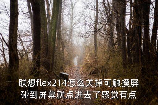 flex214d怎么关闭触摸屏，联想笔记本flex 2 14怎么样关触摸屏 第2张