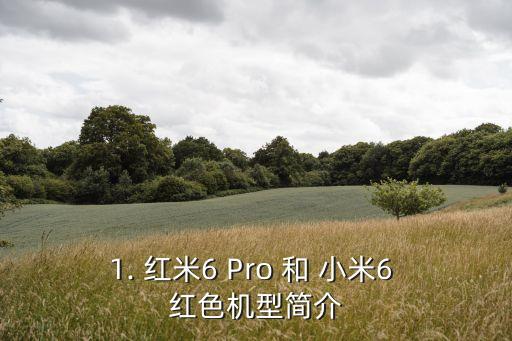 红米6pro多少钱,小米6代红色机型价格是多少？ 第1张