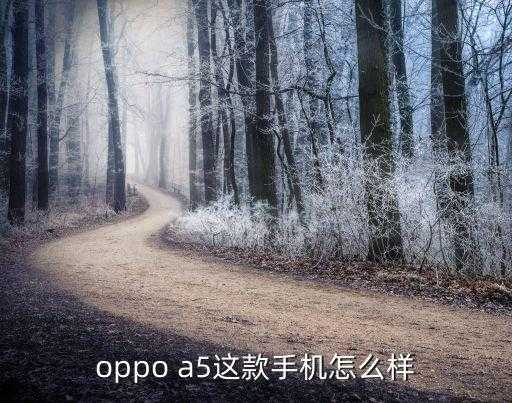 oppo a5，oppo a5这款手机怎么样 第1张