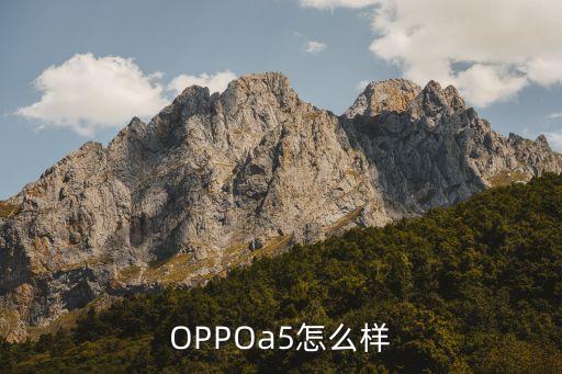 oppo a5，oppo a5这款手机怎么样 第2张