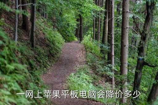 双十一苹果笔记本都有,苹果笔记本air双十一售卖