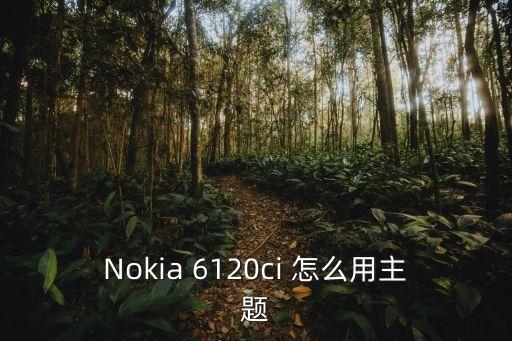 诺基亚6120ci主题，Nokia 6120ci 怎么用主题