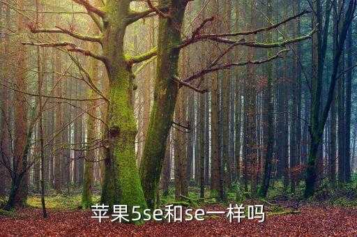 iphone 5se，苹果6s和苹果5se手机哪个好 第2张