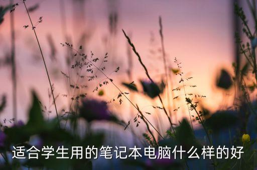 学生用的笔记本哪个好，求什么笔记本电脑好用适合学生的 第2张