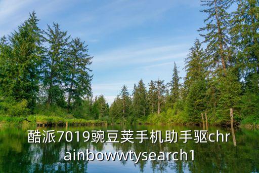 酷派7019软件下载，酷派7019豌豆荚手机助手驱chrainbowwtysearch1 第1张