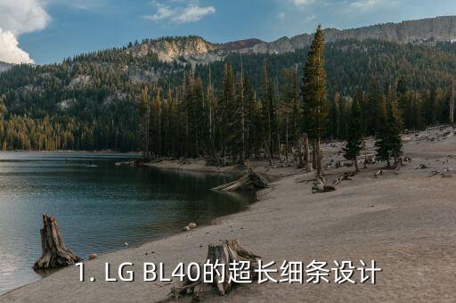 lg bl40,超长细条设计 BL40 手机，独特外观可旋转状态栏 第1张