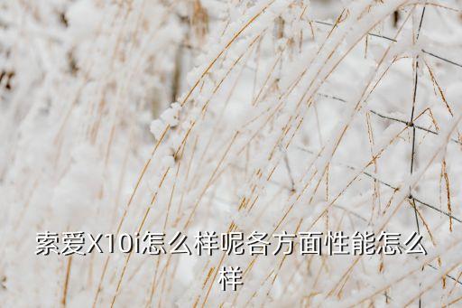 索爱x10i，索爱X10i怎么样呢各方面性能怎么样 第1张