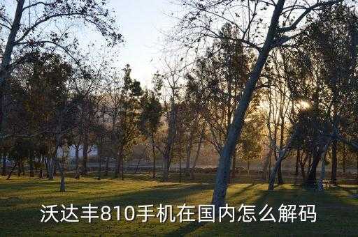 沃达丰手机，沃达丰810手机在国内怎么解码 第1张