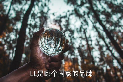 戴尔笔记本电脑是中国品牌吗,主要电脑是哪个国家的品牌? 第3张