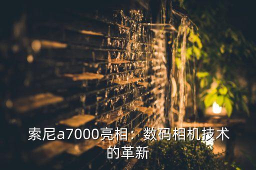 索尼a7000,索尼全新数码相机 a7000 亮相，拓展拍摄体验 第1张