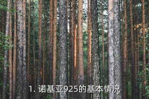 诺基亚925还能用吗,诺基亚925是否还有使用价值？ 第1张