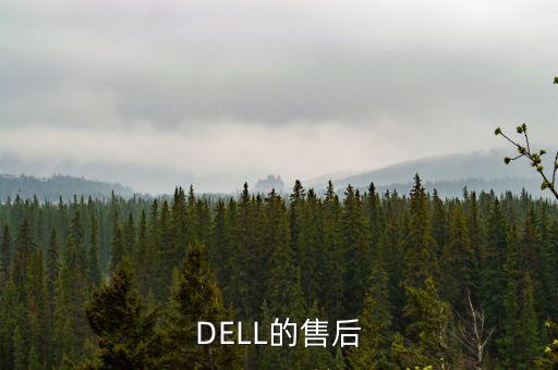 网购戴尔电脑售后，DELL的售后