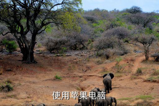 教你怎么画苹果笔记本,如何教孩子画苹果 第2张