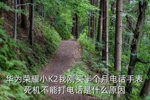 荣耀小k2，荣耀儿童电话手表小K2 可以给父母打字聊天吗 第3张