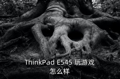 e545，ThinkPad E545 玩游戏怎么样 第1张