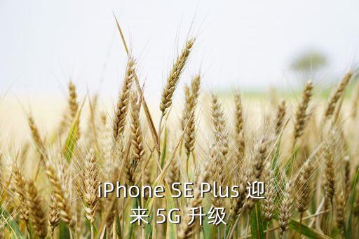 iphone se plus 5g,iPhone SE Plus 迎来 5G 升级 第1张