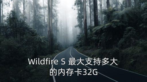 wildfire s，wildfire s何时上市 第3张