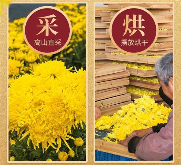 菊香浓郁：徽春堂金丝皇菊约50朵 到手5.9元（泡茶喝） 第5张