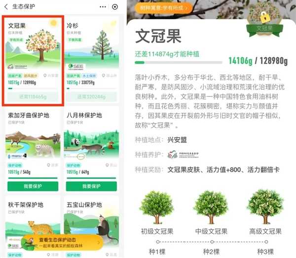 考生必种：支付宝蚂蚁森林植树节上新全新树种“文冠果” 第1张