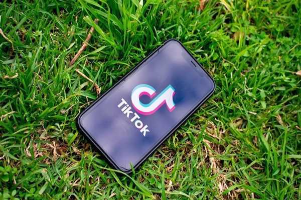 “不卖就禁”法案通过！TikTok：不会改变数据保护策略 第1张