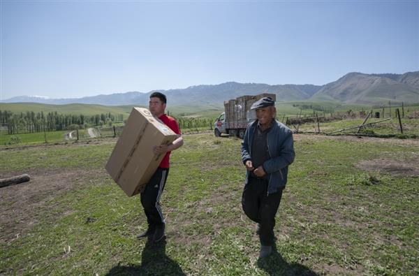 用旧手机换购了儿童电话手表和学习机 已有超3000万用户通过京东以旧换新 第3张