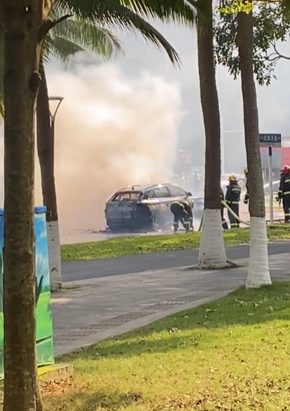 魏牌高山获首个中国火灾安全认证混动MPV 750℃高温下预留出逃生空间 第2张