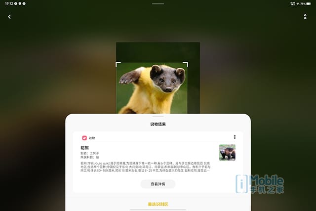 vivo Pad3 Pro怎么样 Pro全面评测 第17张