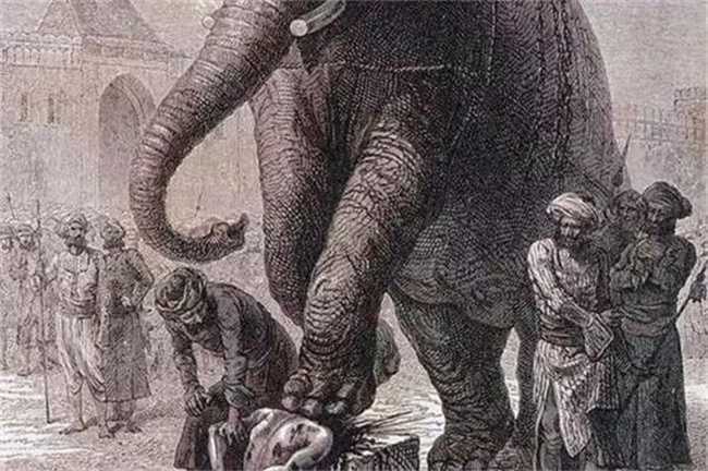 为什么说大象是古代最恐怖的刽子手（象刑）(为什么说大象是人类的好朋友)