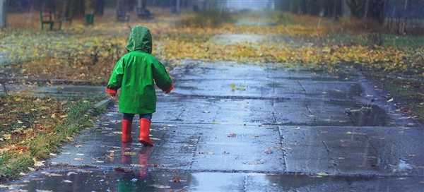 狂风暴雨冰雹突袭福州：有树被吹倒