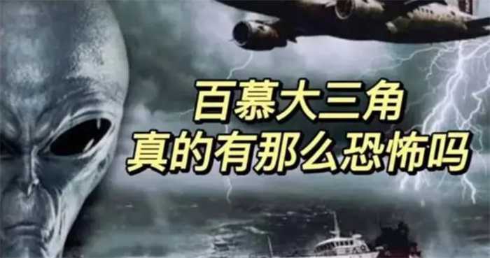 合恩角为什么恐怖（气象条件极端恶劣）(合恩角的微型森林成因) 第2张