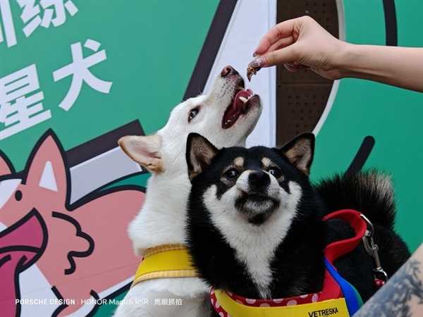 超高端旗舰设计标杆！荣耀Magic6 RSR保时捷设计上手 第12张