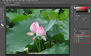 Photoshop制作水彩主题风格的荷花图 第2张