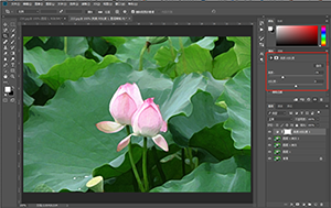 Photoshop制作水彩主题风格的荷花图 第10张
