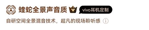 vivo耳机获“蝰蛇声学认证” 高品质呈现酷狗蝰蛇全景声、Hi-Res音质 第2张