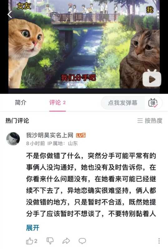 这届年轻人 正在用小猫演绎自己的精神状态 第22张