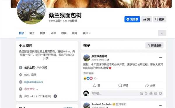 非洲人把猴面包树当祖宅用：移栽中国后 完全不一样了 第7张