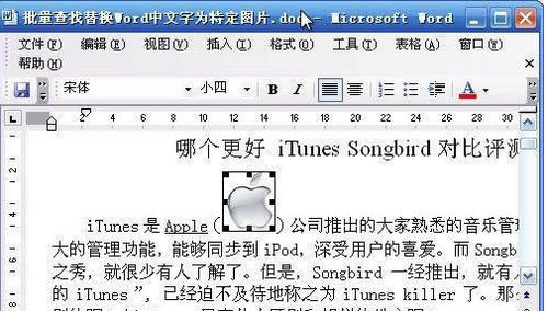 Word2003中的文字快速替换为图片的图文步骤 第3张