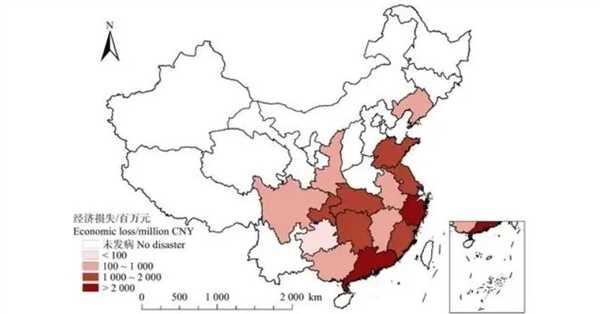 为什么死松树不能当柴火烧 中国9亿亩松树正遭受前所未有的危机 第5张