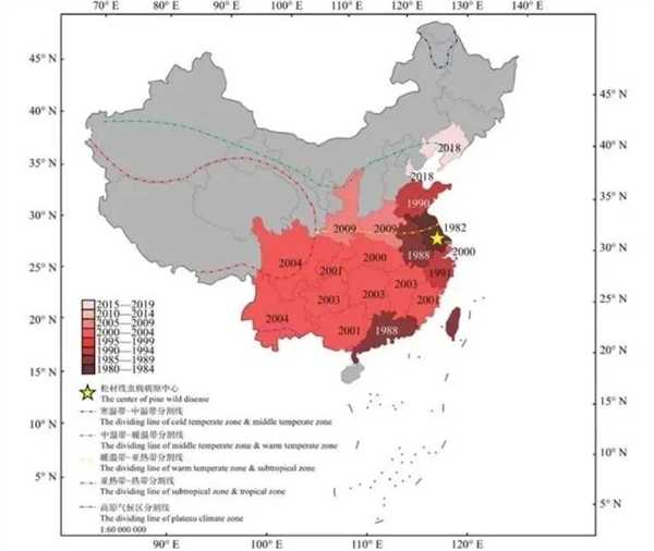 为什么死松树不能当柴火烧 中国9亿亩松树正遭受前所未有的危机 第3张