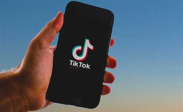 马斯克公开发声反对禁用TikTok！尽管自家平台会从中受益 第2张