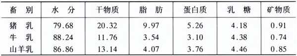 每公斤接近1.7万！猪奶奶酪卖出天价 但我们为啥不喝猪奶 第4张