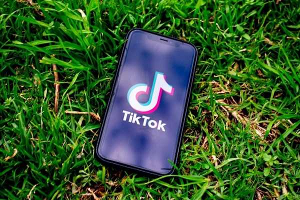 TikTok“不卖就禁”再进一步：美参议院压倒性通过法案 第1张