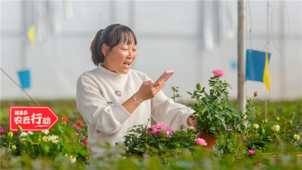 看完了拼多多的财报：我发现他们好像不在乎钱 第10张