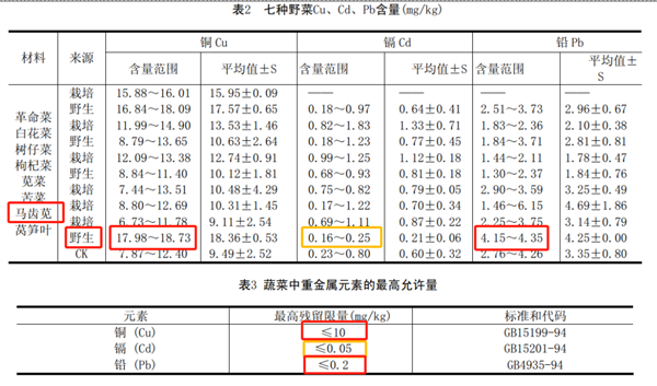 这种长寿菜现在吃正好：曾被当作猪食 营养价值极高 第2张