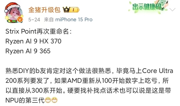 AMD下一代移动处理器已在路上：锐龙AI 300系列蓄势待发 第2张