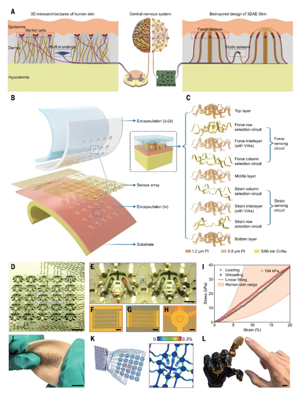 清华研制出世界首款具仿生三维架构电子皮肤：压力感知分辨率仅0.1毫米 第2张