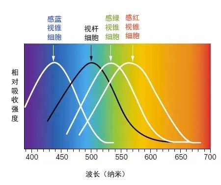 英国国王肖像画引热议：其实查尔斯自己第一眼看到也惊了 第4张