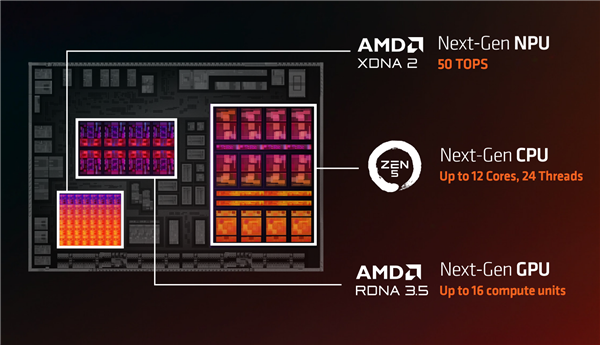 50万亿次世界最强NPU怎么玩？AMD给出了最好的答案 第2张